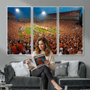 Clemson Tigers Memorial Stadium Wall Art Canvas Print