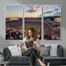 Donald W. Reynolds Razorback Stadium Wall Art Canvas Print –