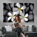 Plumeria Frangipani Black Stone Canvas | White Flower Spa by MyGreatCanvas | Canvas Wall Art Prints | Photo Prints & Wall Decor