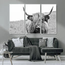 Newfoundland Cow Art Wall Art, Black White Cow Art Wall Art