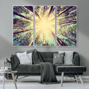 Tree and Sunshine Canvas Print