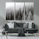 Big Foggy Forest and Misty Trees Forest Wall Art Canvas by MyGreatCanvas | Canvas Wall Art Prints | Photo Prints & Wall Decor