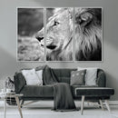 African Lion Wall Art Canvas Print – Majestic Wildlife