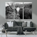 Western Home Wall Art Canvas Print, Framed Texas Longhorn by MyGreatCanvas | Canvas Wall Art Prints | Photo Prints & Wall Decor
