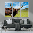 Longhorn and Cow Wall Art, Country Cow Wall Decor Canvas by MyGreatCanvas | Canvas Wall Art Prints | Photo Prints & Wall Decor