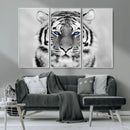 Black and White Tiger Wall Art Animal Canvas Print
