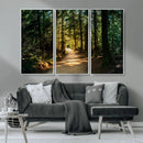Natural Landscape Wall Art Relaxing Forest Canvas Print