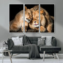 Lion and Lioness Wall Art Canvas Print – Framed African