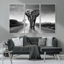 Black and White Elephant Wall Art Canvas Print