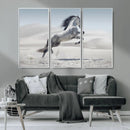 Prancing Horse Desert Large Wall Art Canvas Print – Majestic