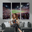 Washington-Grizzly Stadium Canvas Print, American Football