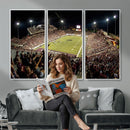 Washington-Grizzly Stadium Canvas Wall Art – Exciting Game