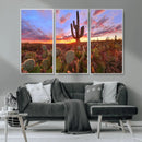 Arizona Desert Wall Art Canvas Print - Framed Deser Sunset