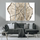 Abstract Wood Tree Ring Wall Art - Ready to Hang Minimalist