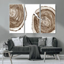 Wood Tree Ring Wall Art Canvas Prints, Tree Rings –