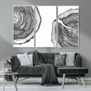 Abstract Large Tree Rings – Minimalist Black and White Wood