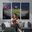 Penn State University Nittany Lions Football Team Print -