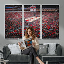 Louisville Cardinals Basketball Print Canvas - Louisville