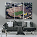 Michigan Wolverines Football Team Print - Ann Arbor Michigan