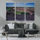 South Carolina Gamecocks Football Team Print - Columbia