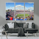 Buffalo Bills NFL Football Team Print - Buffalo Highmark