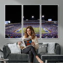 Buffalo Bills Wall Art - Buffalo Bills Stadium Canvas Print,