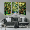 Serene Tree Tunnel Wall Art Canvas Print – Pathway Under by MyGreatCanvas | Canvas Wall Art Prints | Photo Prints & Wall Decor