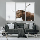 Rustic Bull Wall Art Canvas Print – Modern Longhorn