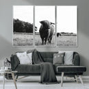 Black and White Highland Cow Wall Art Canvas Print | Rustic