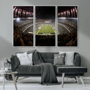 Eagles Field Stadium Wall Art - Philadelphia Eagles Football