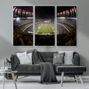 Eagles Field Stadium Wall Art - Philadelphia Eagles Football