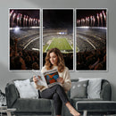 Eagles Field Stadium Wall Art - Philadelphia Eagles Football