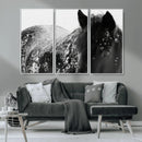 Black Horse in Snow Canvas Print | Winter Horse Wall Art |