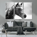 Horse Canvas Print - Winter Horse Snow Wall Art Canvas Print by MyGreatCanvas | Canvas Wall Art Prints | Photo Prints & Wall Decor