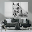 White Horse Wall Art | Ready to Hang and Framed | Winter