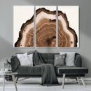 Rustic Wood Rings Wall Art | Nature-Inspired Tree Ring