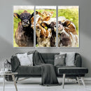 Curious Cows Farmhouse Wall Art | Ready to Hang and Framed by MyGreatCanvas | Canvas Wall Art Prints | Photo Prints & Wall Decor