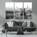 Scottish Highland Cow Wall Art | Black and White Canvas