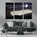 Honda Center California Anaheim Ducks Hockey Stadium Wall