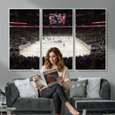 T Mobile Arena Paradise Nevada Vegas Golden Knights Ice