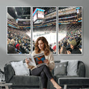 Xcel Energy Center St Paul Minnesota Wild Ice Hockey Stadium