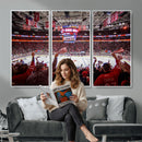 Carolina Hurricanes Ice Hockey Stadium Wall Art, Carolina