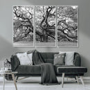 Black White Angel Oak Tree Wall Art - Timeless