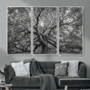 Majestic Angel Oak Tree Black and White Canvas Print – Multi by MyGreatCanvas | Canvas Wall Art Prints | Photo Prints & Wall Decor