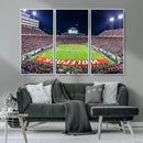NC State Wolfpack Canvas Print - Raleigh Carter-Finley