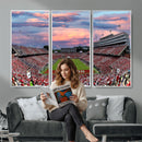 Carter-Finley Stadium Art Sunset Game Triple Canvas Wall Art