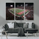 Houston Cougars Football Team Print - Houston TDECU Stadium