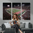 Houston Cougars Football Team Print - Houston TDECU Stadium