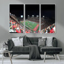 Houston Cougars Football Team Print - Houston TDECU Stadium