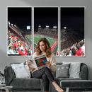 Houston Cougars Football Team Print - Houston TDECU Stadium